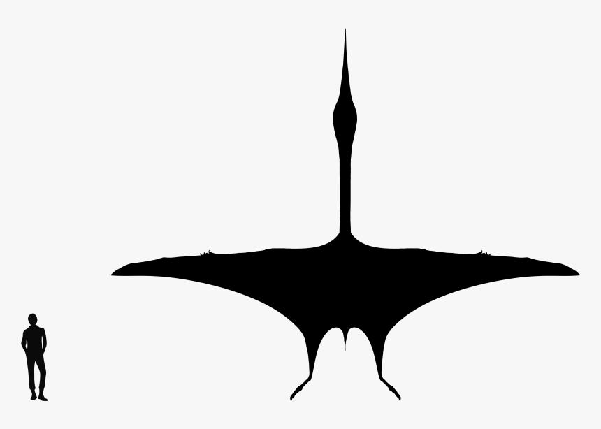 Quetzalcoatlus Silhouette, HD Png Download