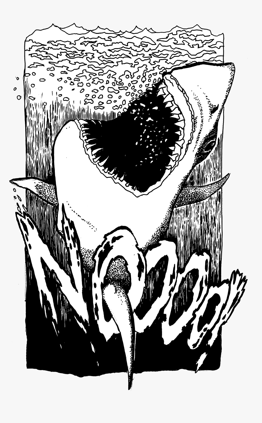 Surfboard Clipart Shark Bite, HD Png Download