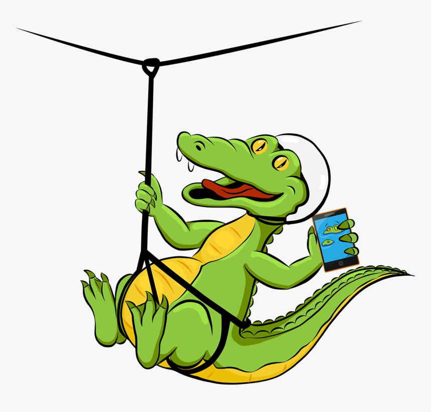 Picture Transparent Stock Costa Connect On Behance - Animales En Zipline Cartoon, HD Png Download