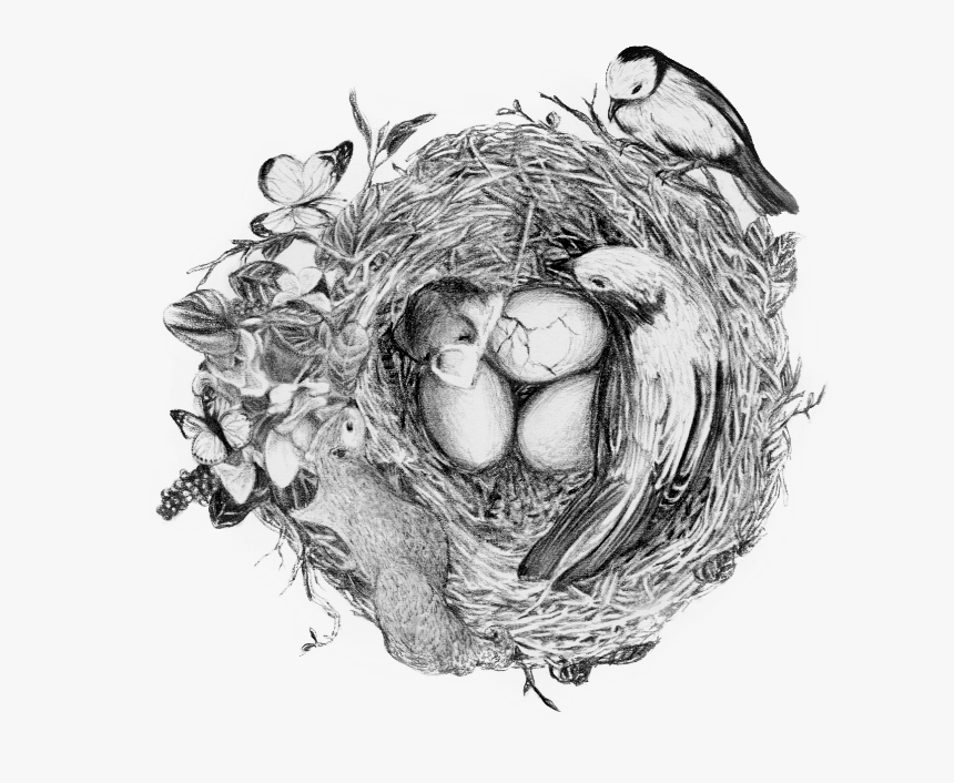 Illustration, HD Png Download