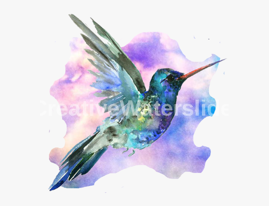 Ruby-throated Hummingbird, HD Png Download