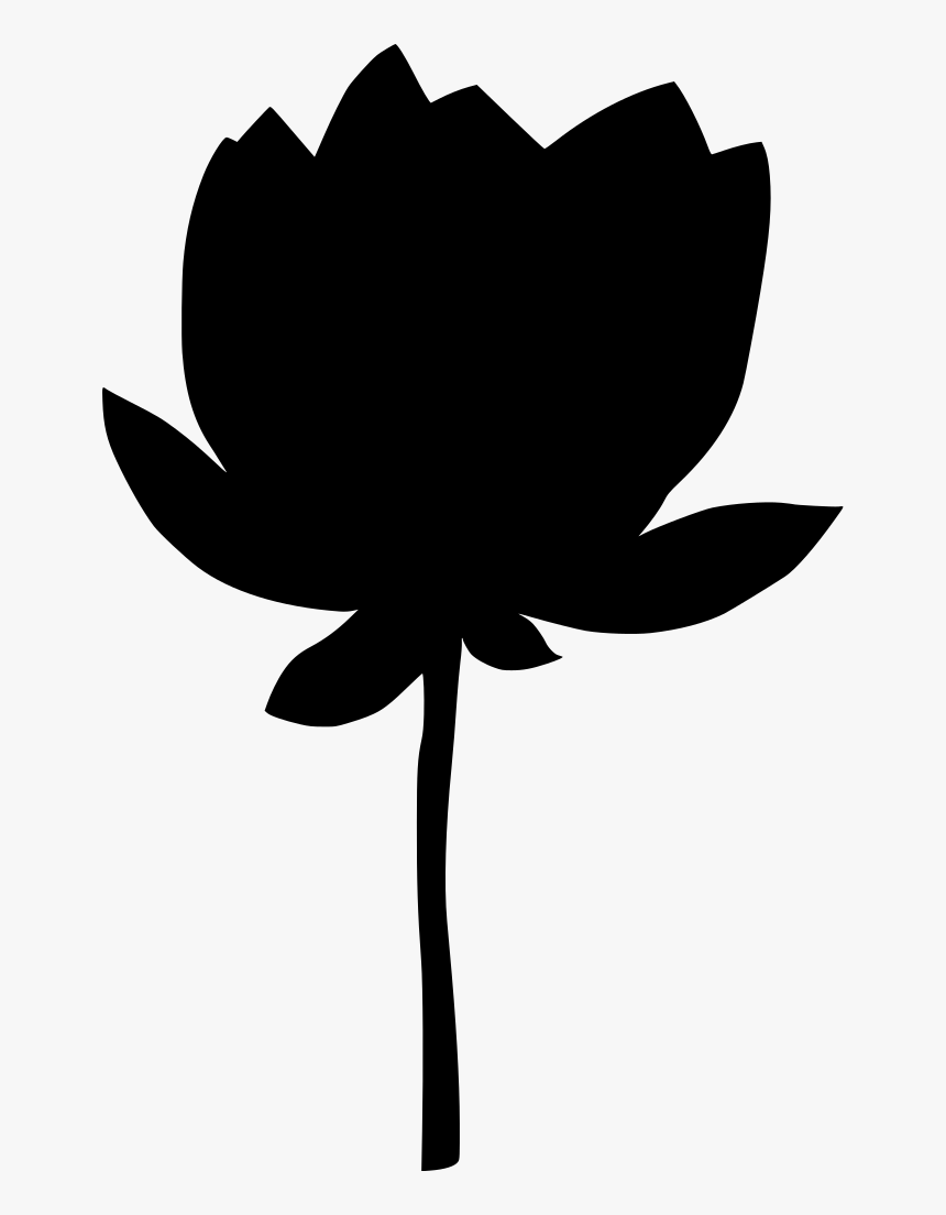 Flower Clipart Transparent Background, HD Png Download