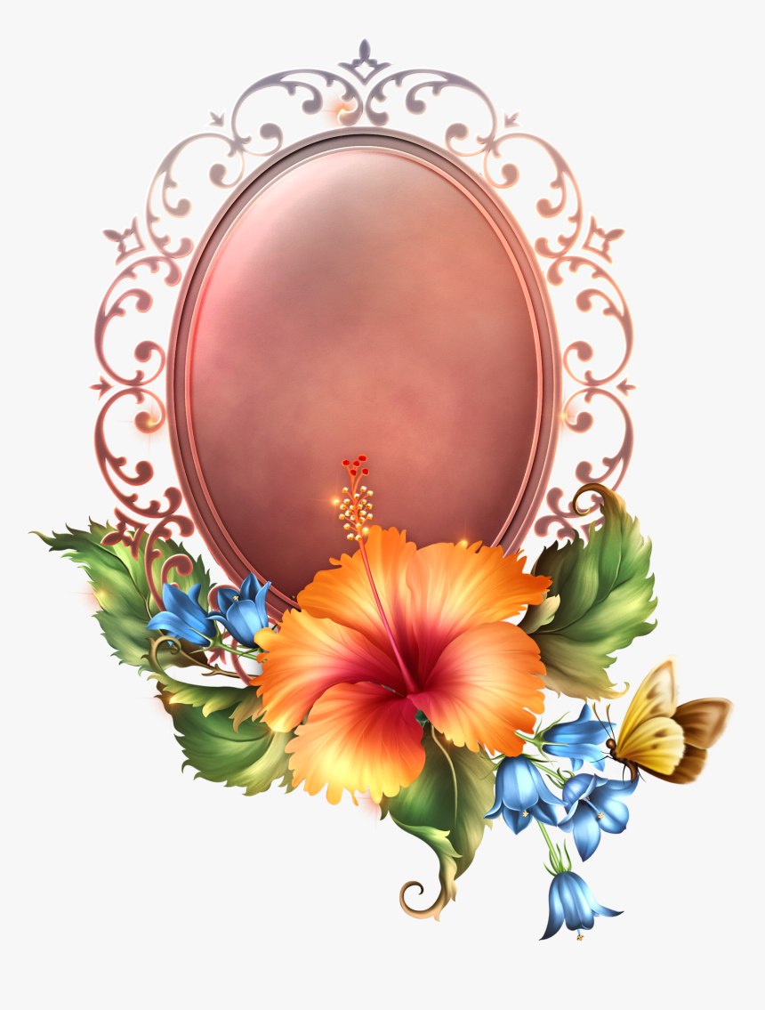 Chinese Hibiscus, HD Png Download