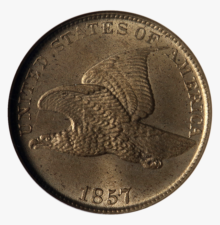 Cash, HD Png Download