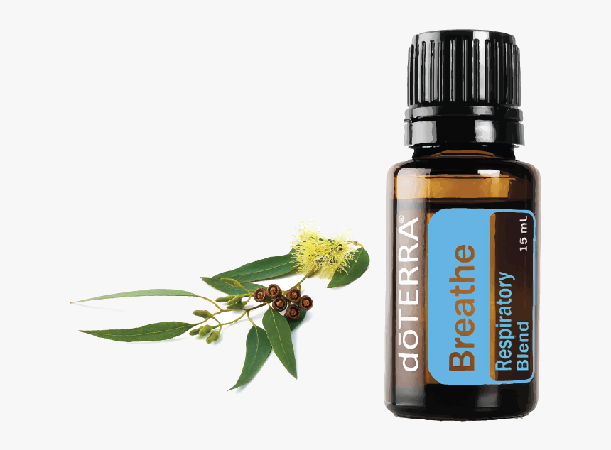 Lavender Doterra, HD Png Download