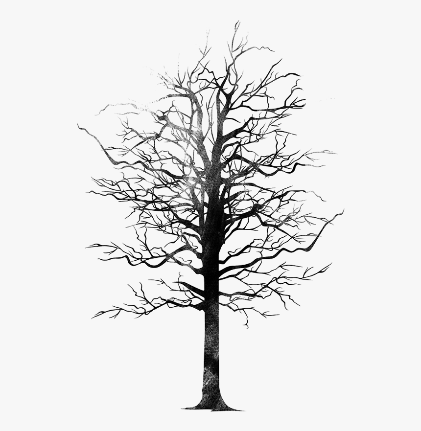 Bird Tree Png Monochrome- - Silhouette, Transparent Png