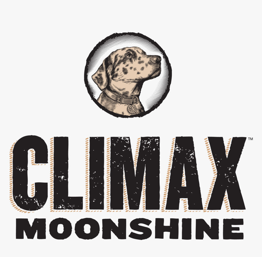Labrador Retriever , Png Download - Punxsutawney Phil, Transparent Png