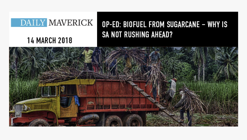 Sugarcane In Africa, HD Png Download