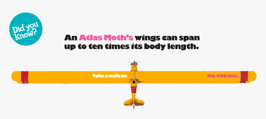 Artboard 3 - Model Aircraft, HD Png Download