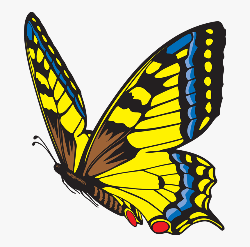 Butterfly Eggs On Leaf Clipart, HD Png Download