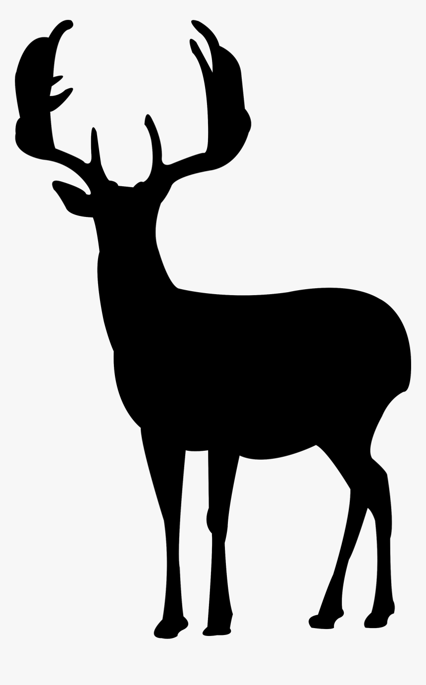 Deer Silhouette Canvas Print - Deer Silhouette, HD Png Download
