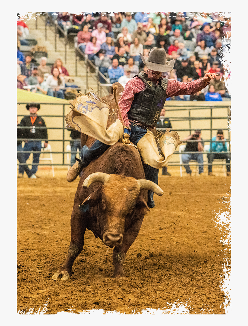 Bull Riding, HD Png Download
