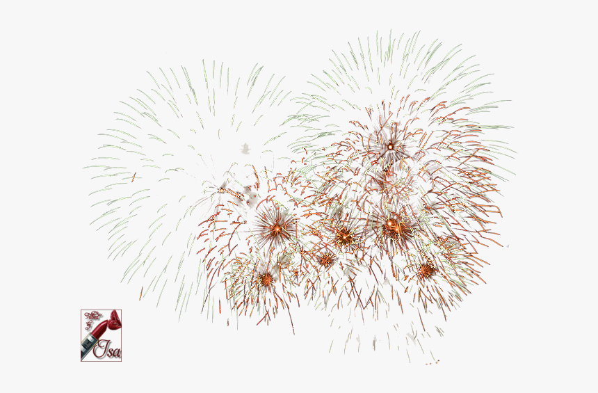 Tube Png Feux D Artifice, Transparent Png
