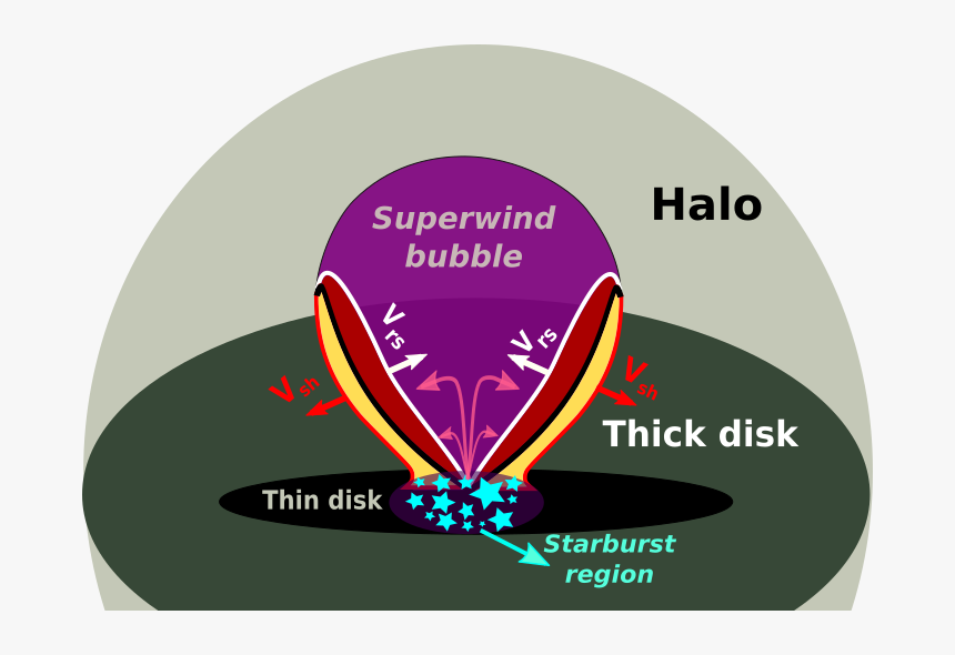 Robinsons Supermarket, HD Png Download