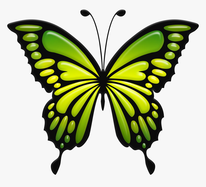 Green Butterfly Png , Png Download, Transparent Png