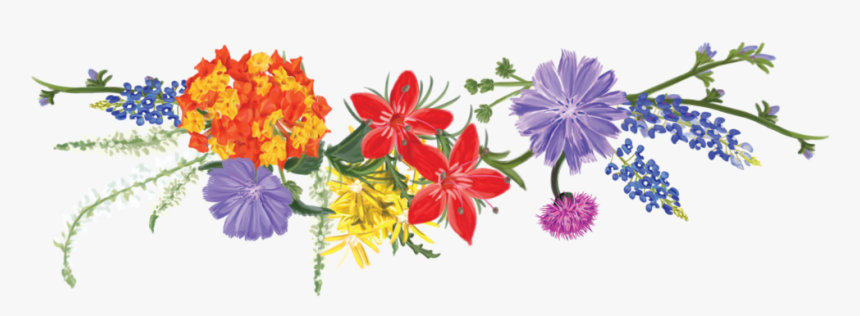 Texas Wildflower Vodka - Wildflowers Clipart Free, HD Png Download
