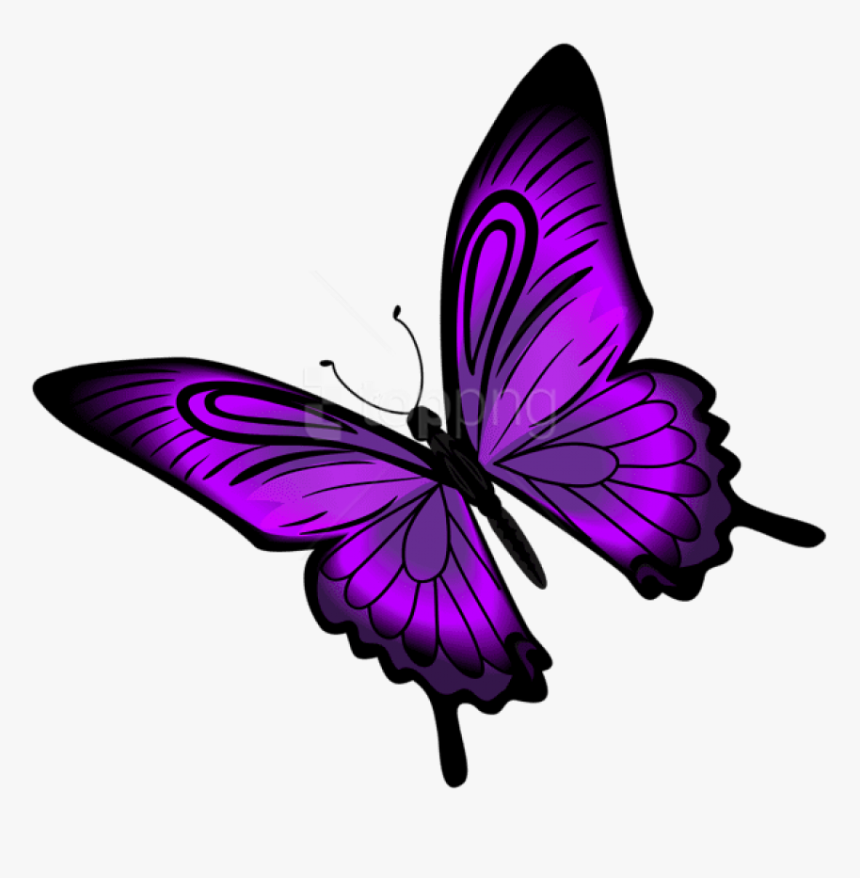 Free Png Download Purple Butterfly Png Clipart Png - Transparent Background Purple Butterfly Clipart, Png Download