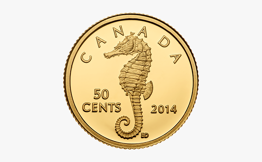 Coin, HD Png Download