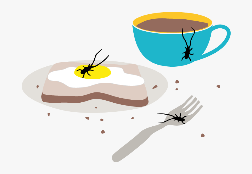 Cockroach Infestation In A Kitchen - Dish, HD Png Download