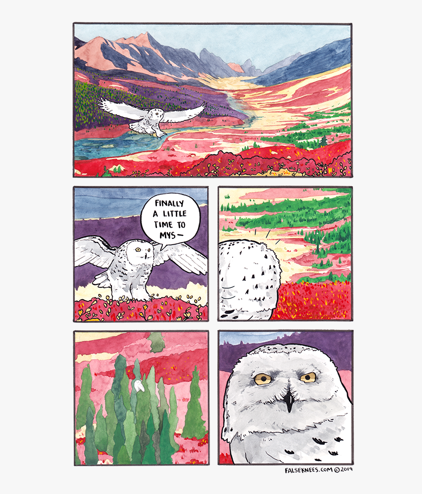 False Knees Snow Owl, HD Png Download