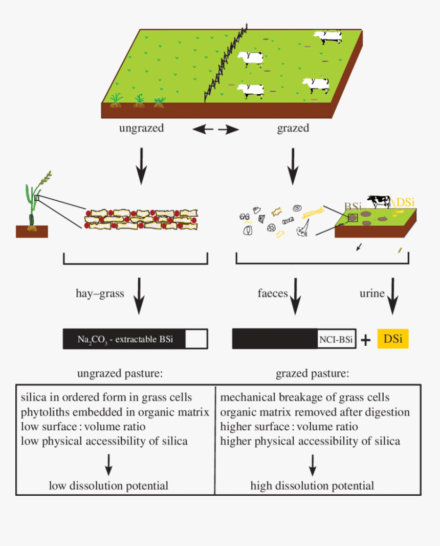 Screenshot, HD Png Download