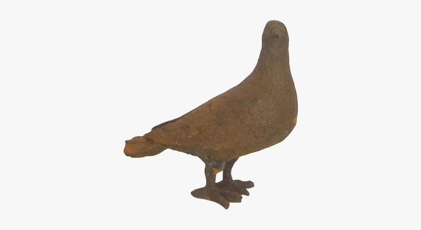 Cast Iron Dove - Pigeons And Doves, HD Png Download