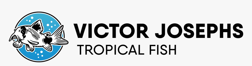 Vj Tropical Fish - Oval, HD Png Download