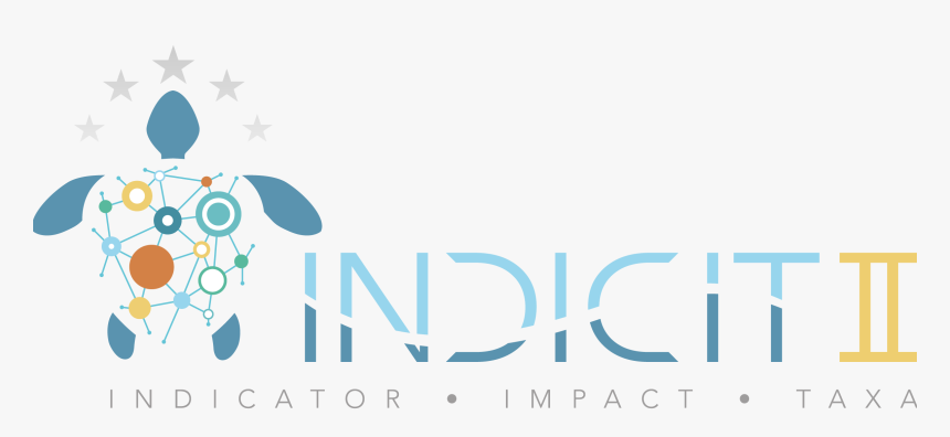 Logo Indicit Project - Indicit Ii Project, HD Png Download