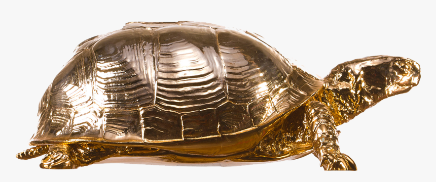 Gold Turtle Png, Transparent Png