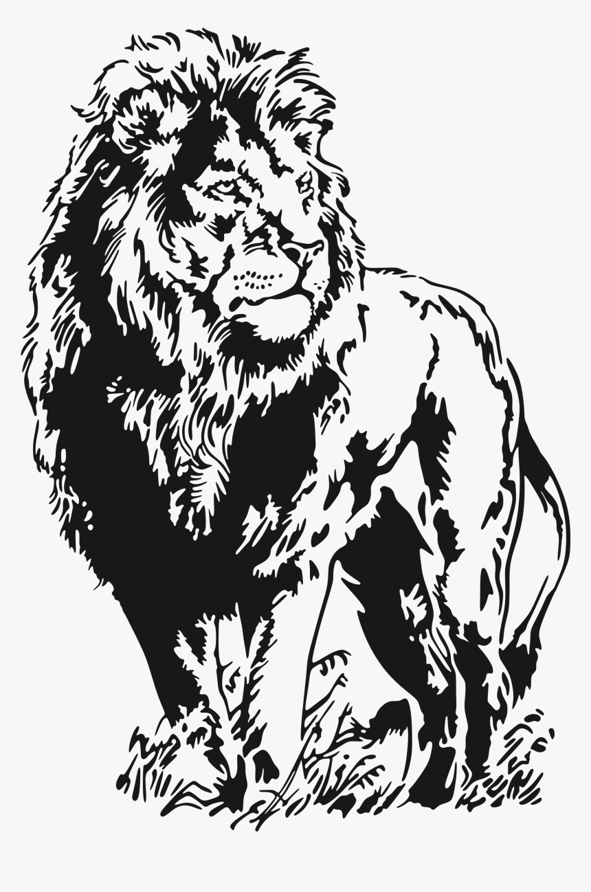 Lion Stencil, HD Png Download