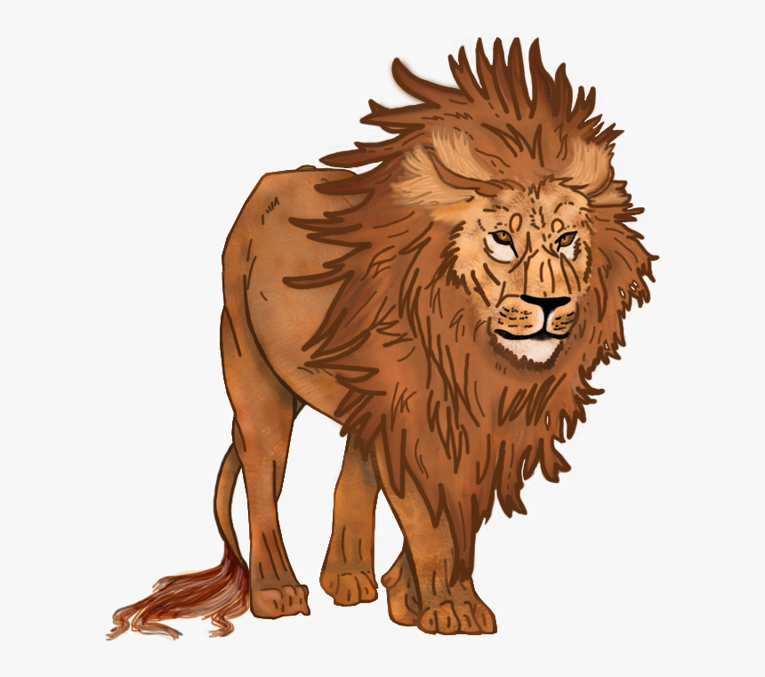 Lion - Masai Lion, HD Png Download
