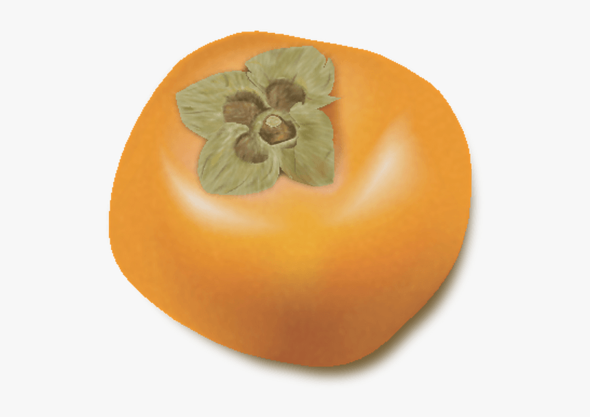 Persimmon, HD Png Download