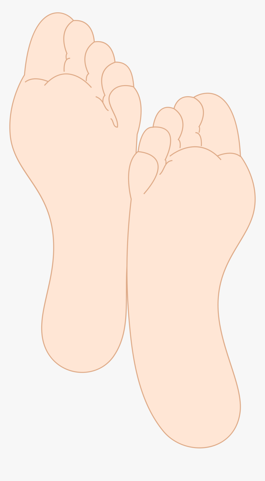 Leg Clipart Toe - Plantas De Los Pies Png, Transparent Png