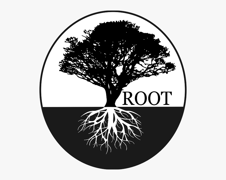 Tree No Leaves, HD Png Download