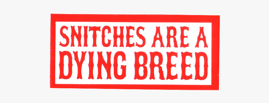 Snitches Are A Dying Breed - Bored Of Being Bored Because, HD Png Download
