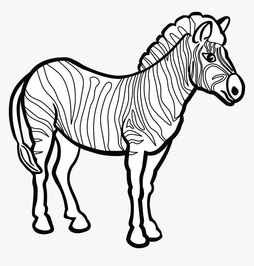 Zebra Line Art , Png Download - Zebra Clipart Black And White, Transparent Png