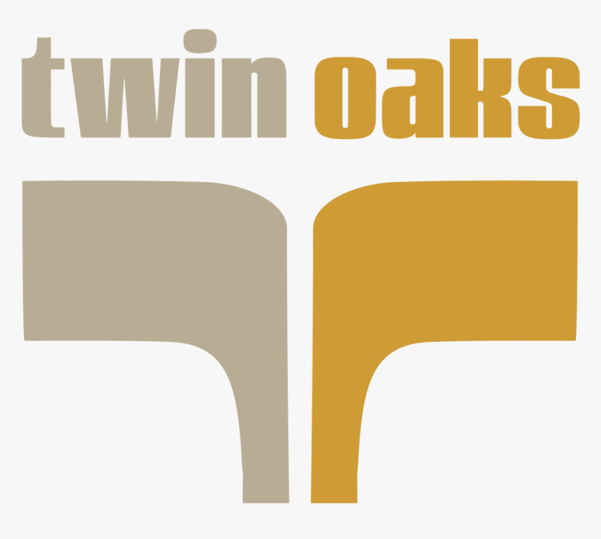 Twin Oaks Identity Guidelines-3 - Guitar String, HD Png Download