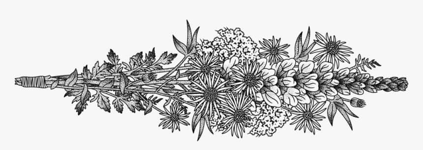 Rayflowersrszd, HD Png Download