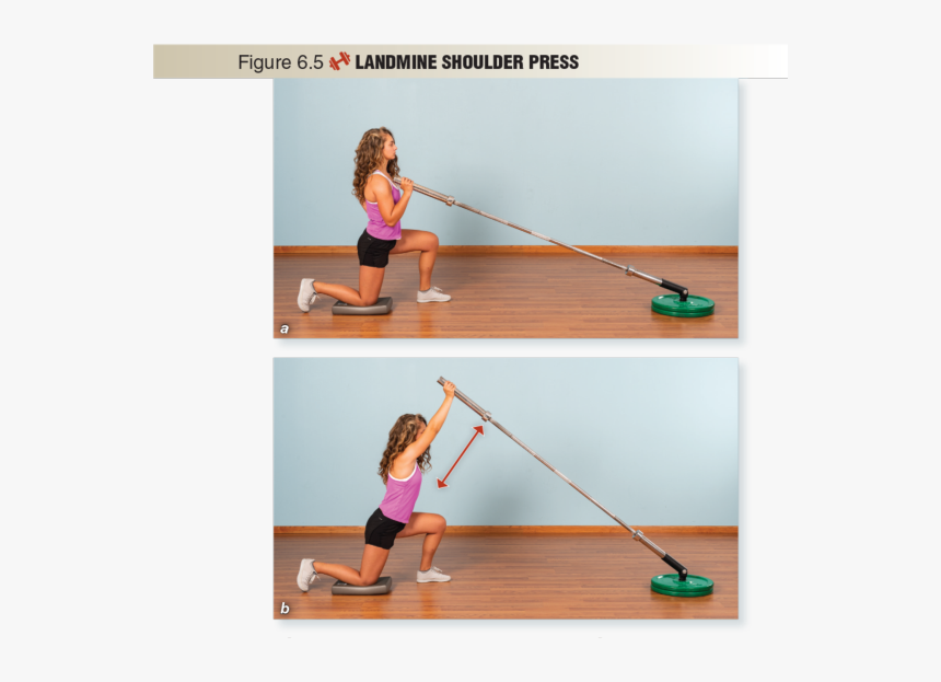 Figure 6 - - Pilates, HD Png Download