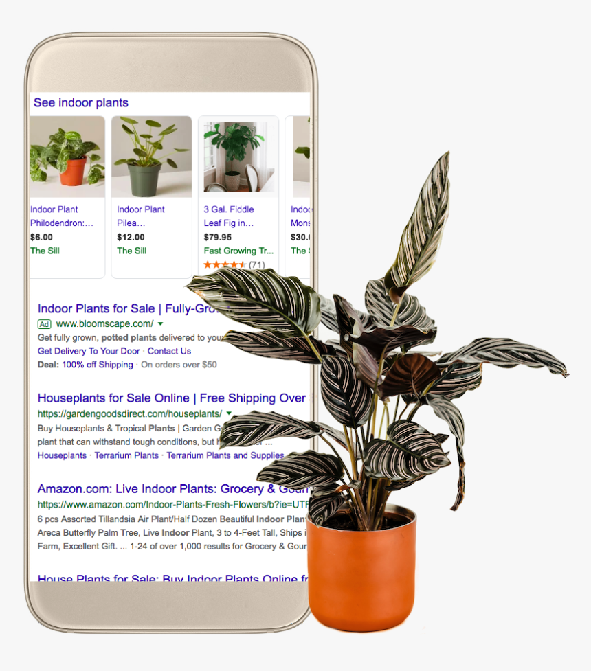 Plaza De San Marcos, HD Png Download