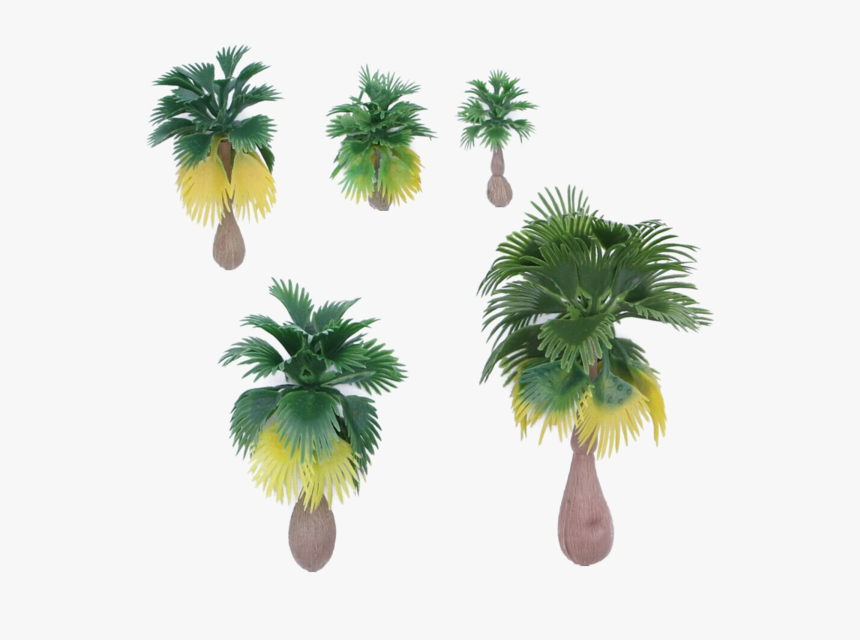 Tree, HD Png Download