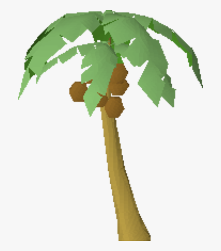 Osrs Palm Tree, HD Png Download