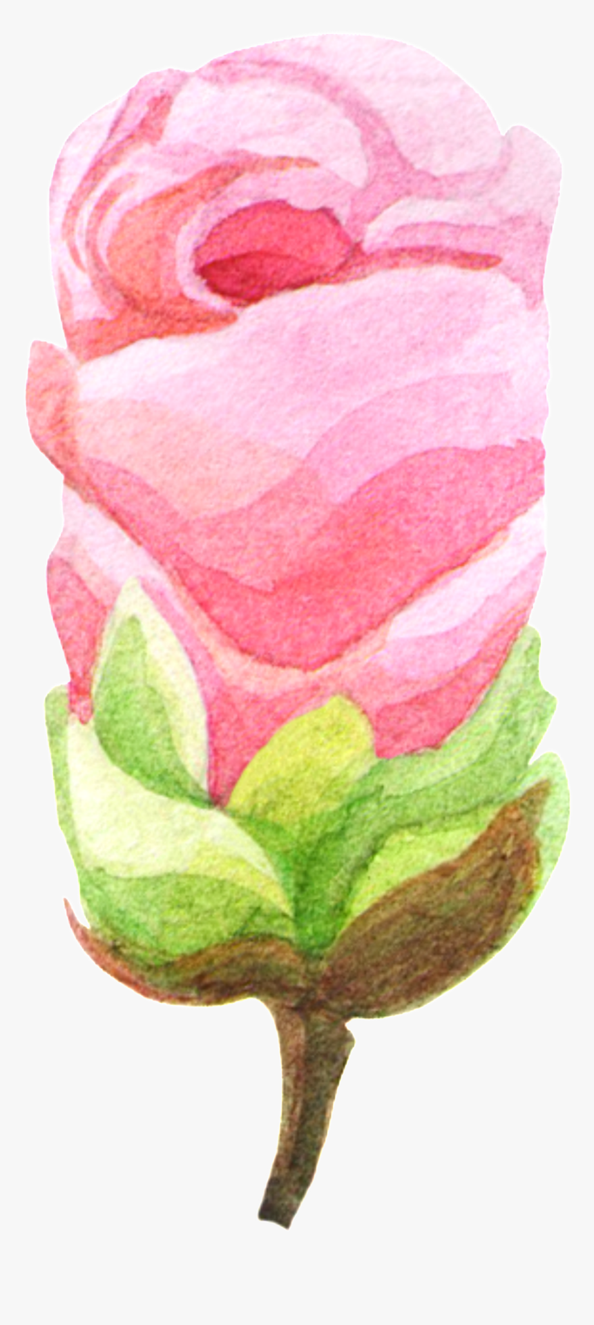 Hand-painted Rose Like Ice Cream Png Transparent Material - Garden Roses, Png Download