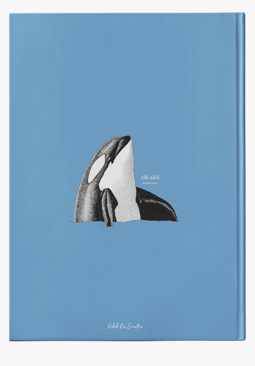 Humpback Whale, HD Png Download