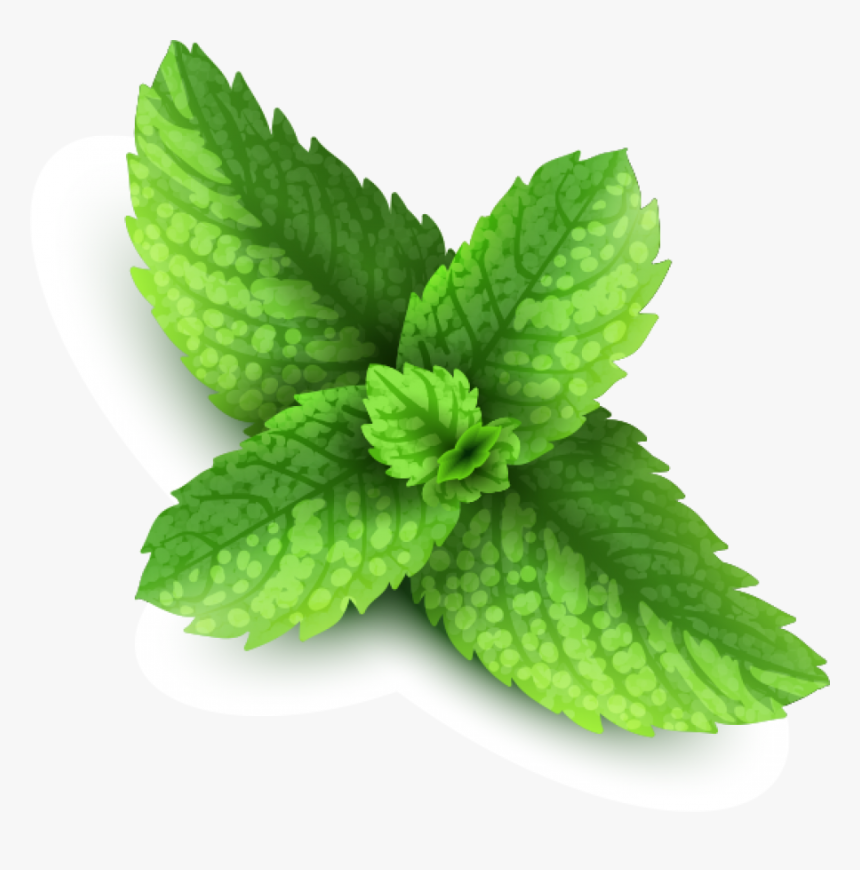 Pepermint Png Image - Peppermint Png, Transparent Png