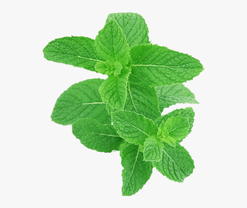 Peppermint, HD Png Download