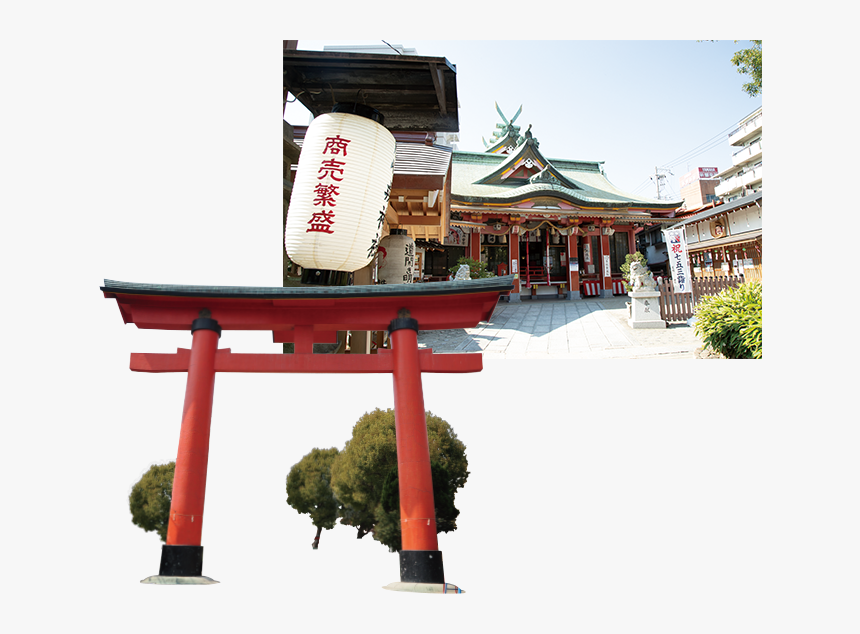 Tree, HD Png Download