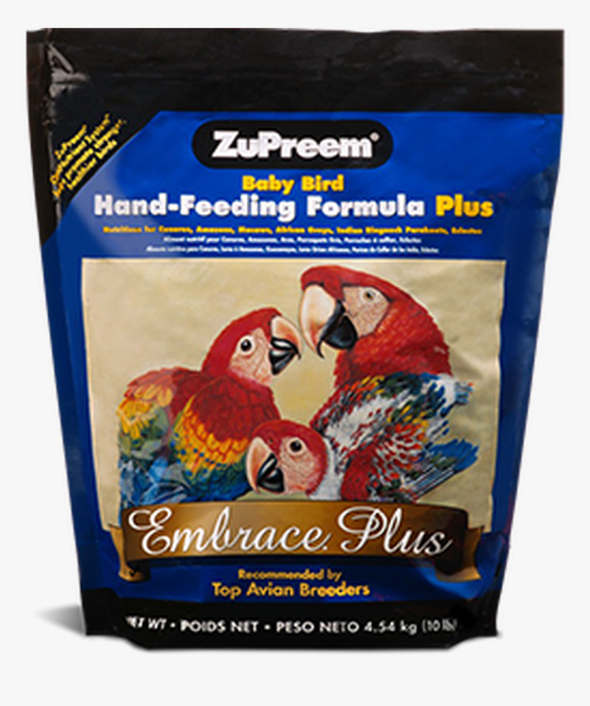 Baby Bird Png, Transparent Png