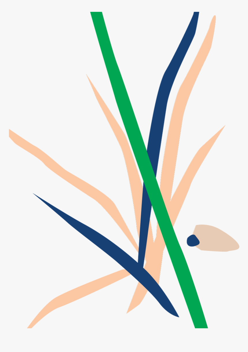 Illustration, HD Png Download