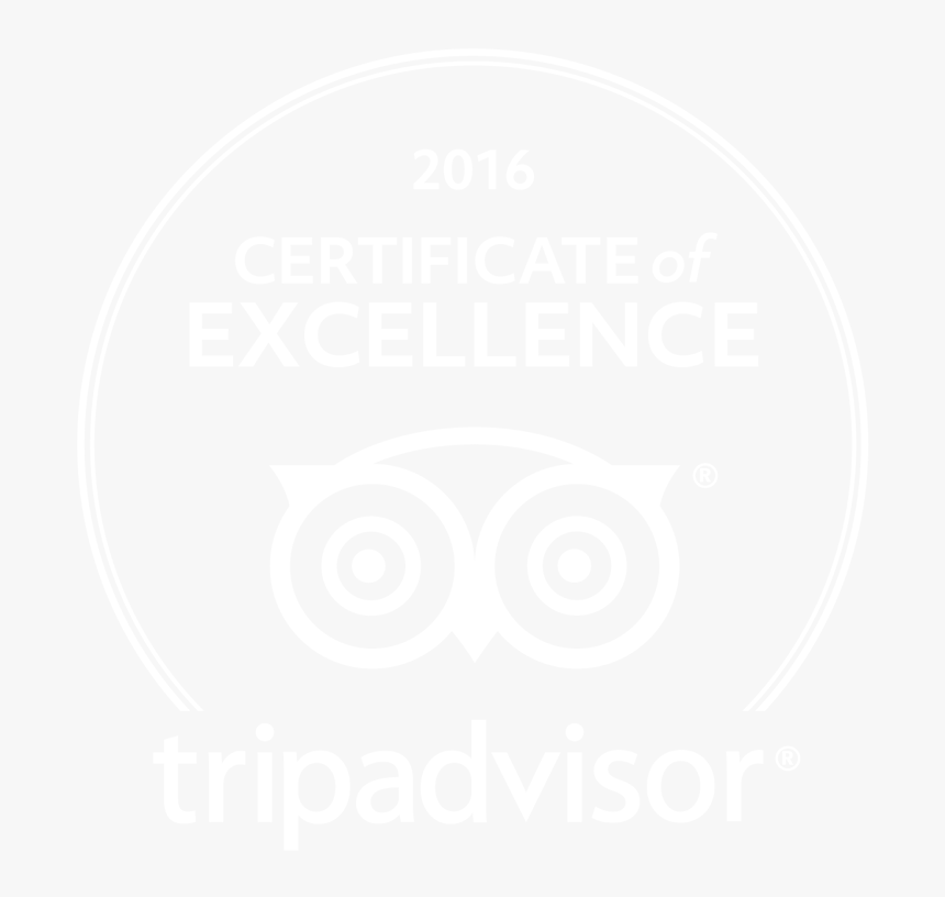 Trip Advisor Logo - Jhu Logo White, HD Png Download